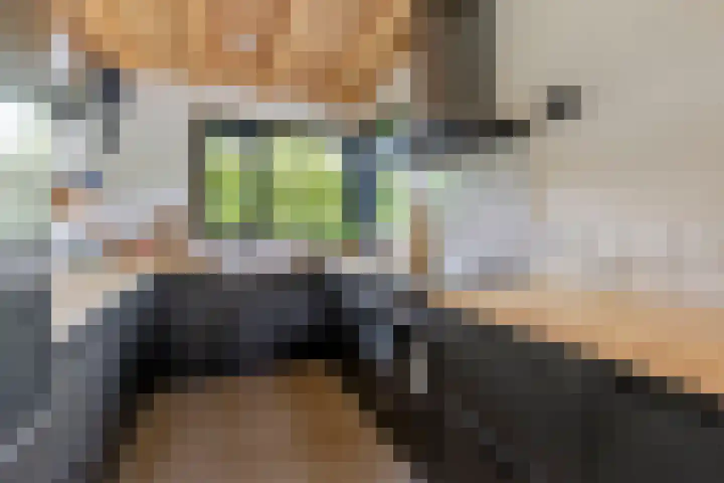 Fresia 4 Vinkel thumbnail 9