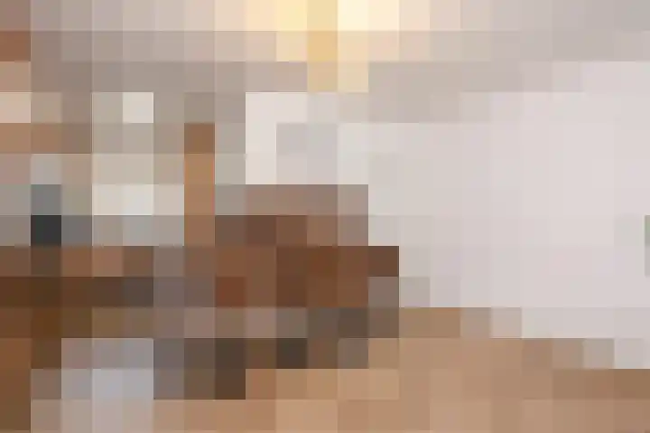 Fresiadreef 21 Rijswijk thumbnail 11