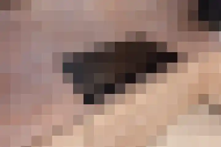 Fresiadreef 21 Rijswijk thumbnail 13