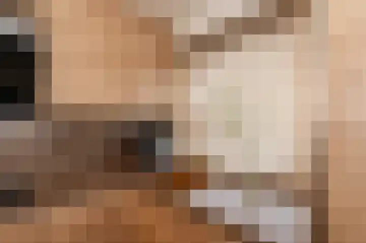 Fresiadreef 21 Rijswijk thumbnail 15
