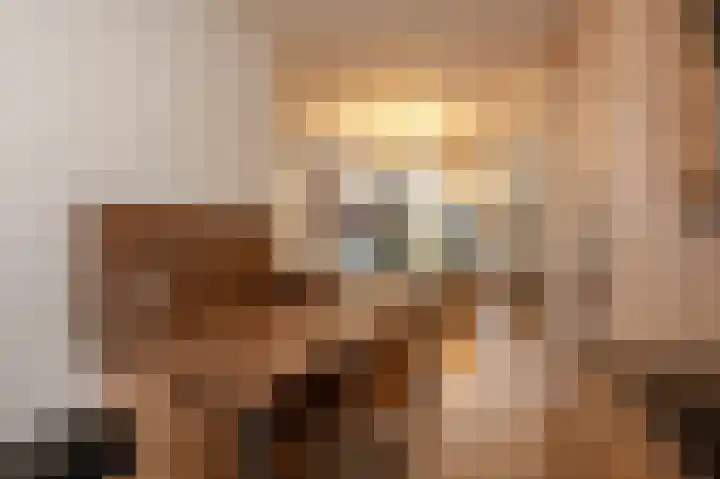 Fresiadreef 21 Rijswijk thumbnail 16