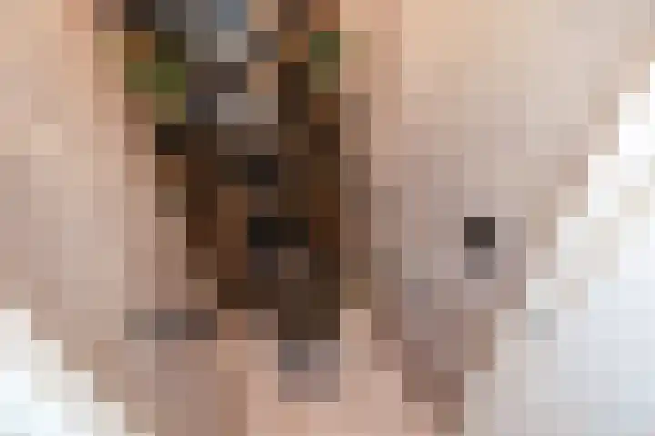 Fresiadreef 21 Rijswijk thumbnail 27