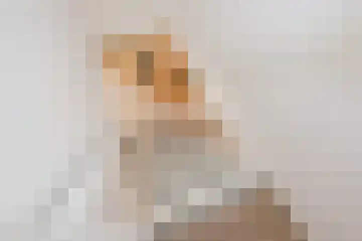 Fresiadreef 21 Rijswijk thumbnail 28