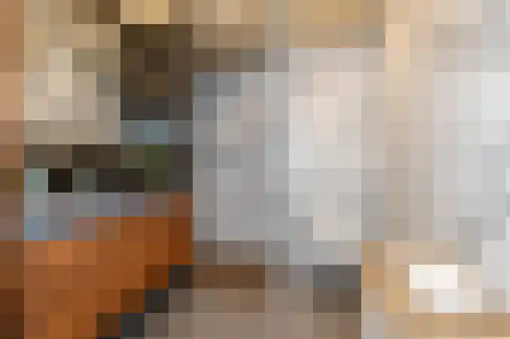 Fresiadreef 21 Rijswijk thumbnail 37