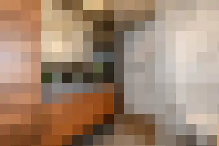 Fresiadreef 21 Rijswijk thumbnail 38