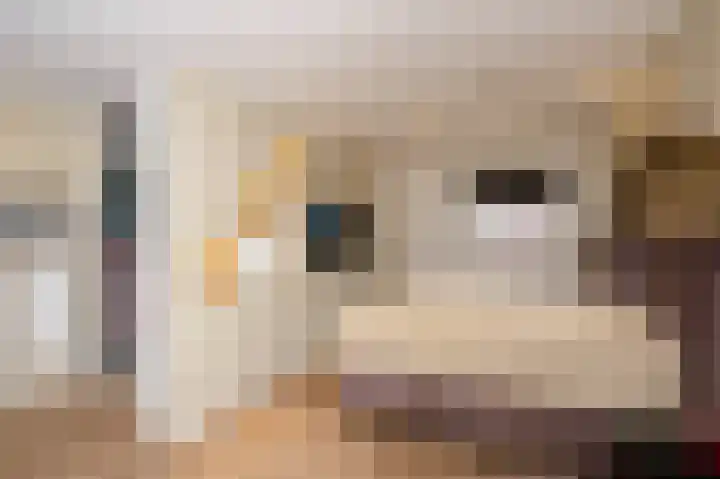 Fresiadreef 21 Rijswijk thumbnail 46