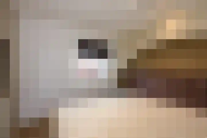 Fresiadreef 21 Rijswijk thumbnail 47