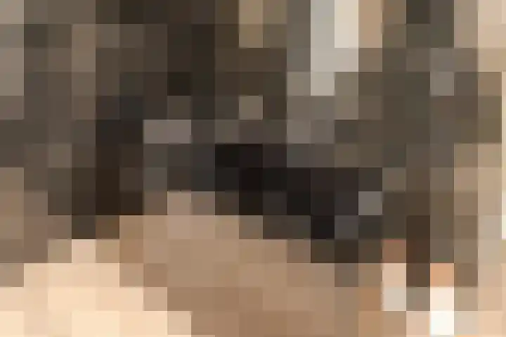 Fresiadreef 21 Rijswijk thumbnail 50