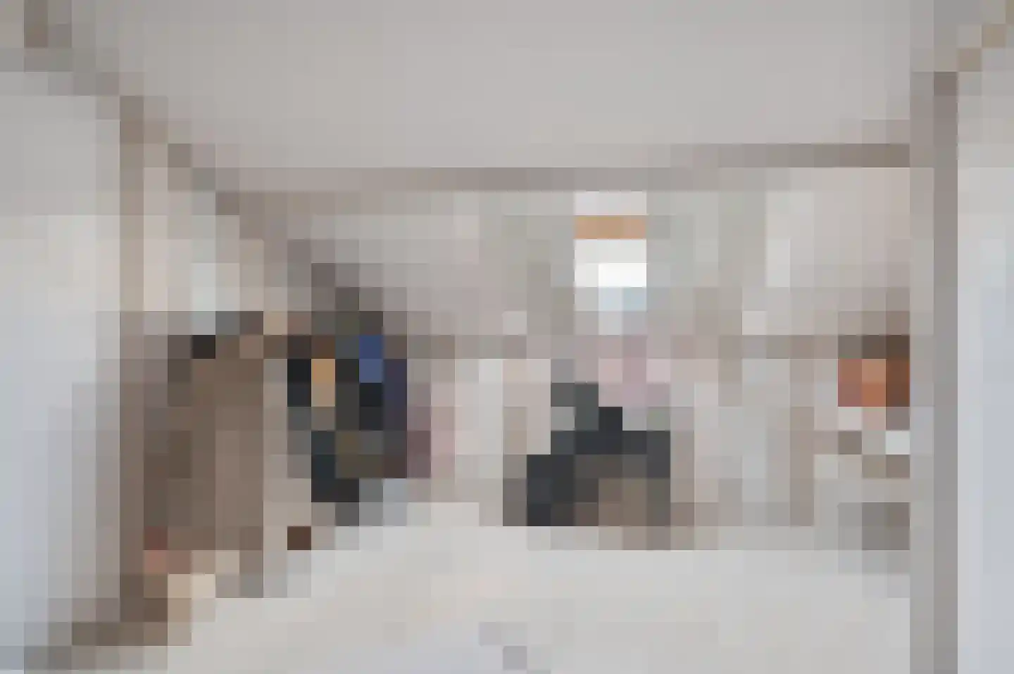 Fresiahof 11 Schijndel thumbnail 30