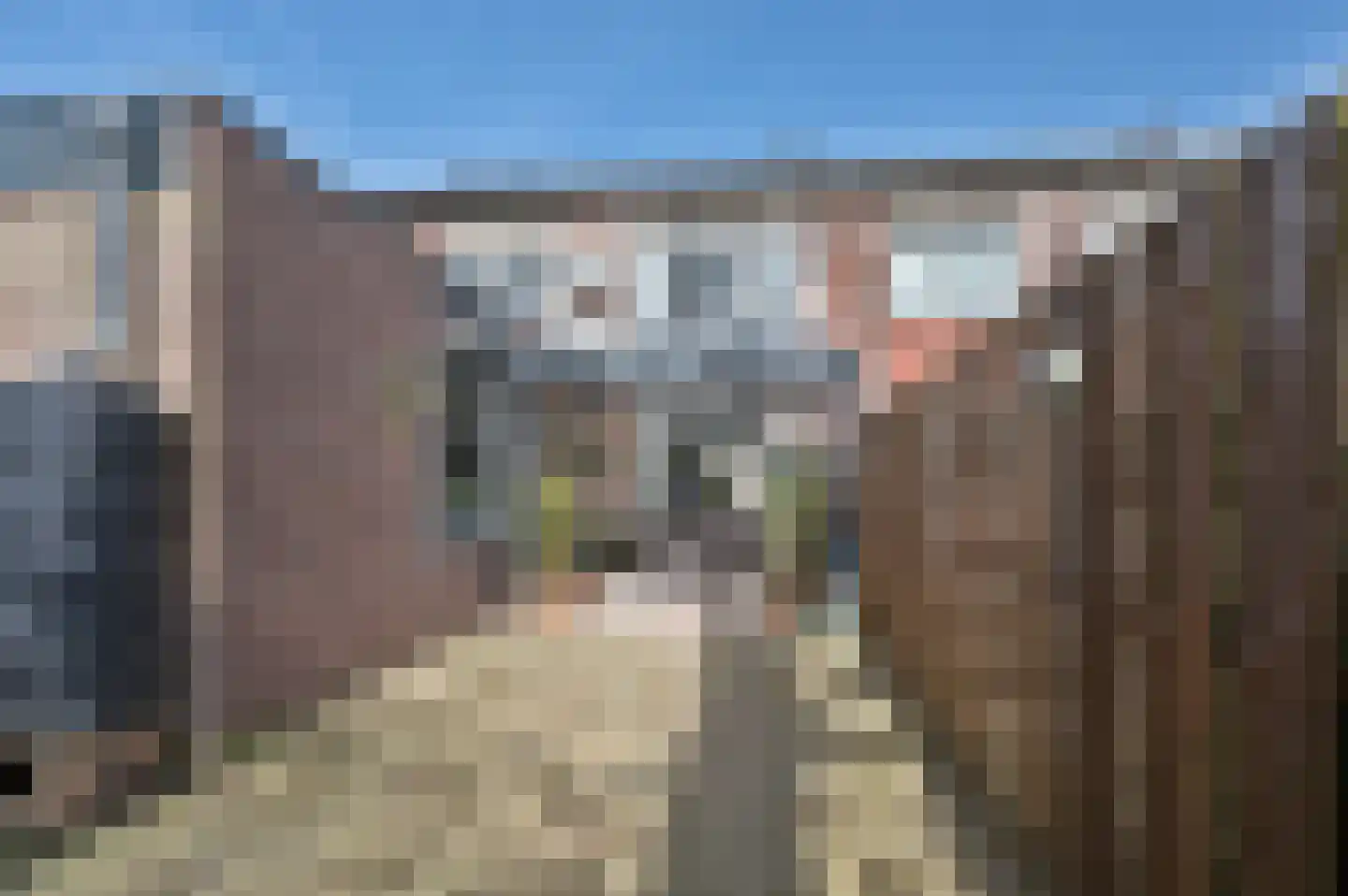 Fresiahof 11 Schijndel thumbnail 33