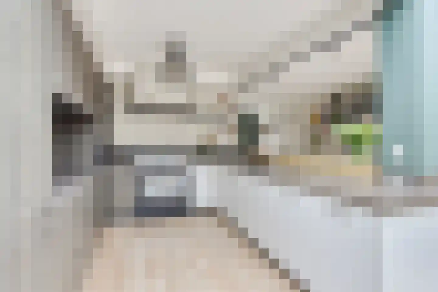 Fresiahof 4 Nibbixwoud thumbnail 17