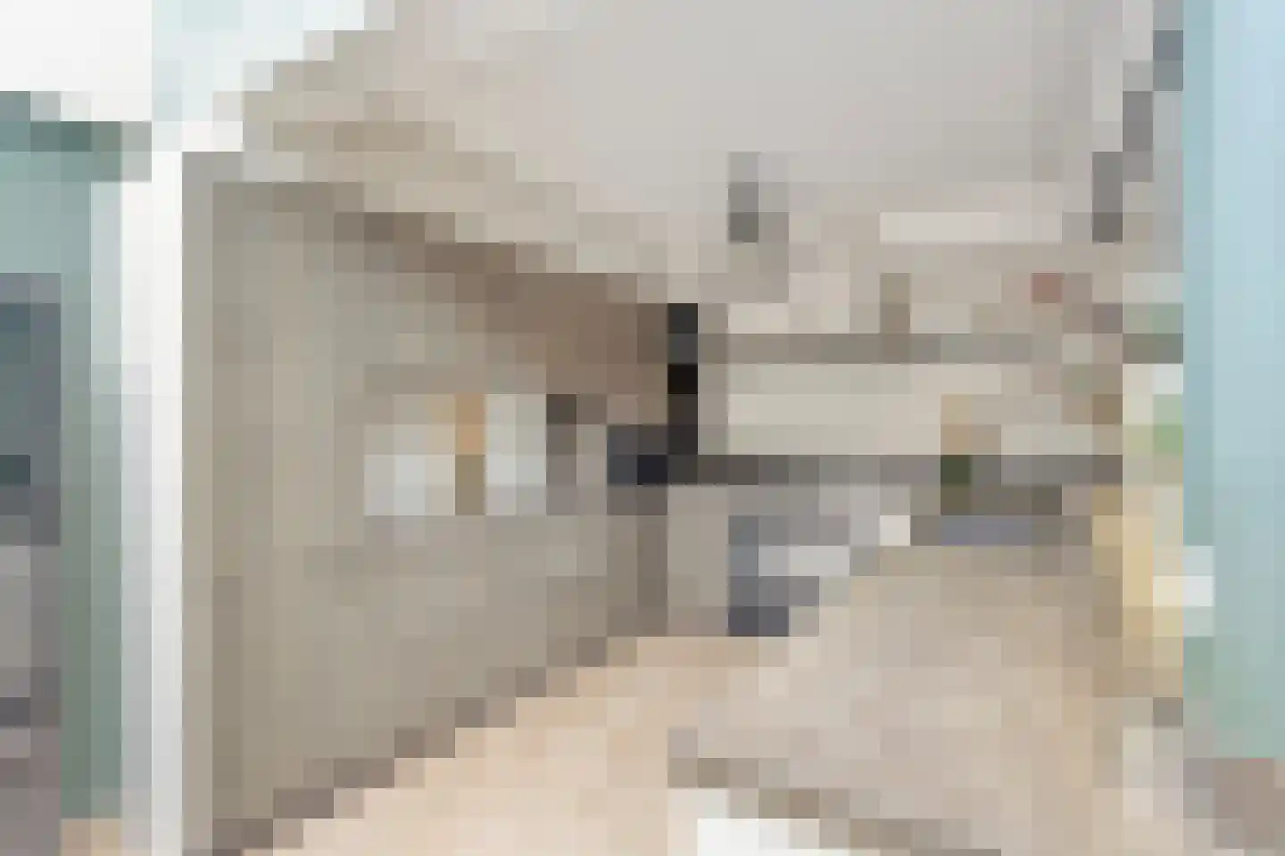 Fresiahof 4 Nibbixwoud thumbnail 20