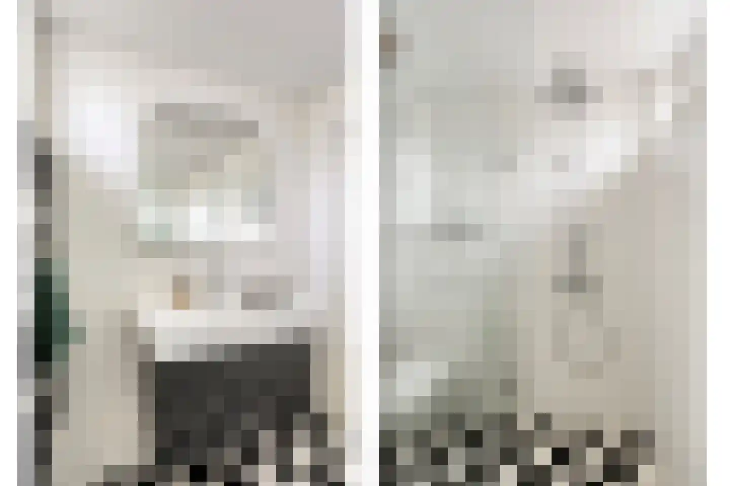 Fresiahof 4 Nibbixwoud thumbnail 27