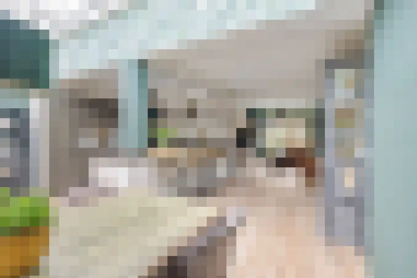 Fresiahof 4 Nibbixwoud foto 3