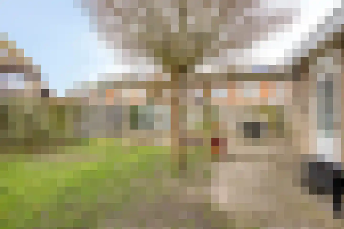 Fresiahof 4 Nibbixwoud thumbnail 39