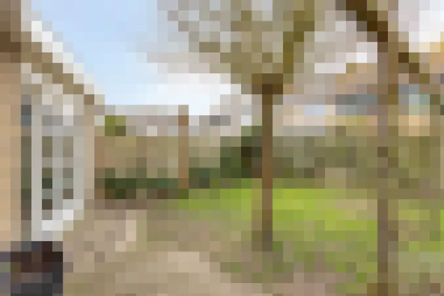 Fresiahof 4 Nibbixwoud thumbnail 40