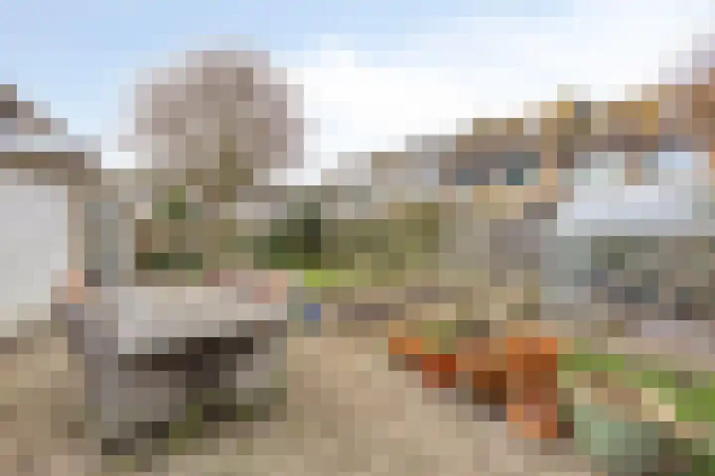 Fresiahof 4 Nibbixwoud thumbnail 42