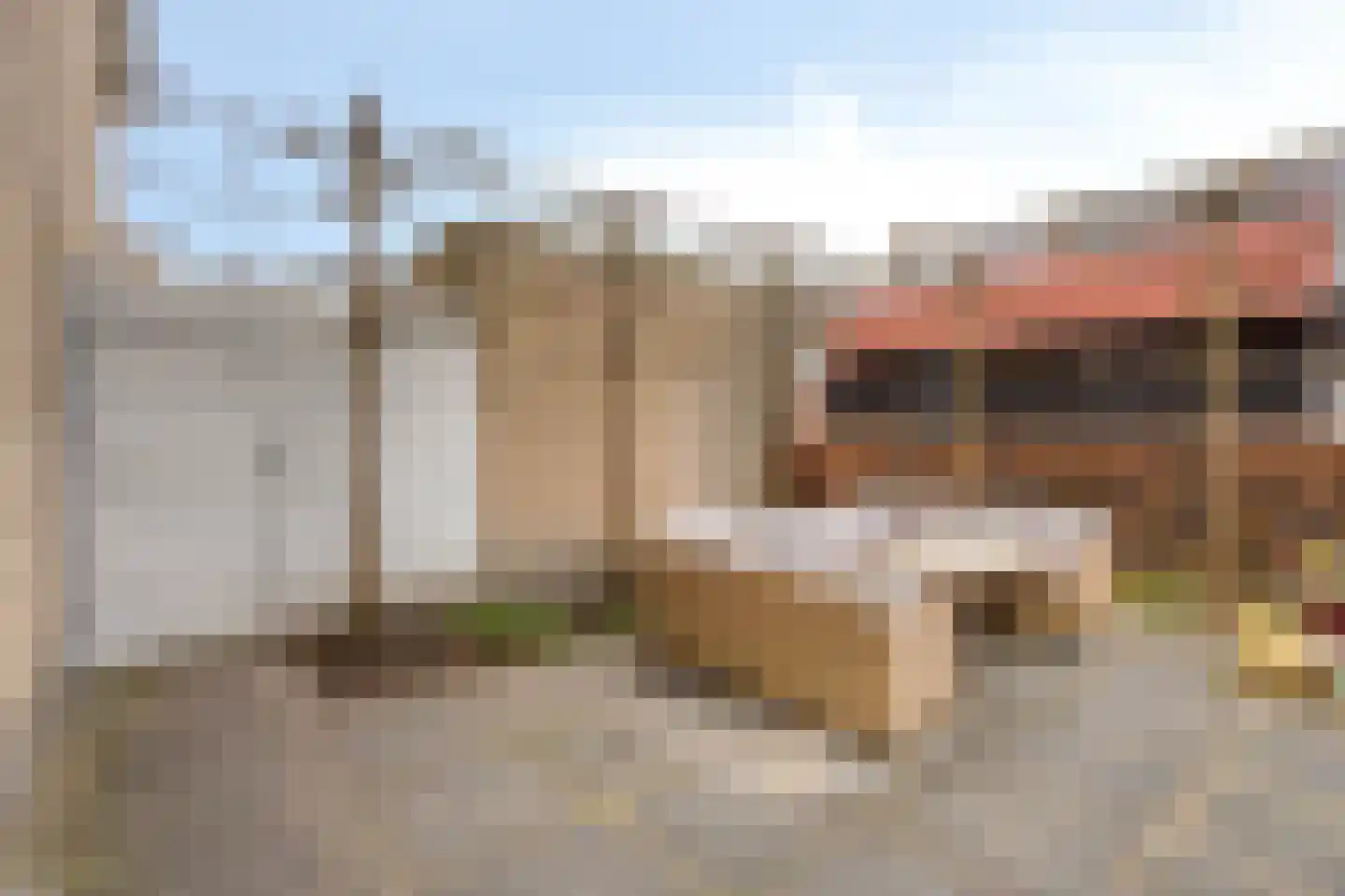 Fresiahof 4 Nibbixwoud thumbnail 44