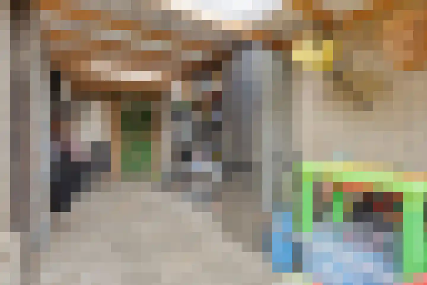 Fresiahof 4 Nibbixwoud thumbnail 47