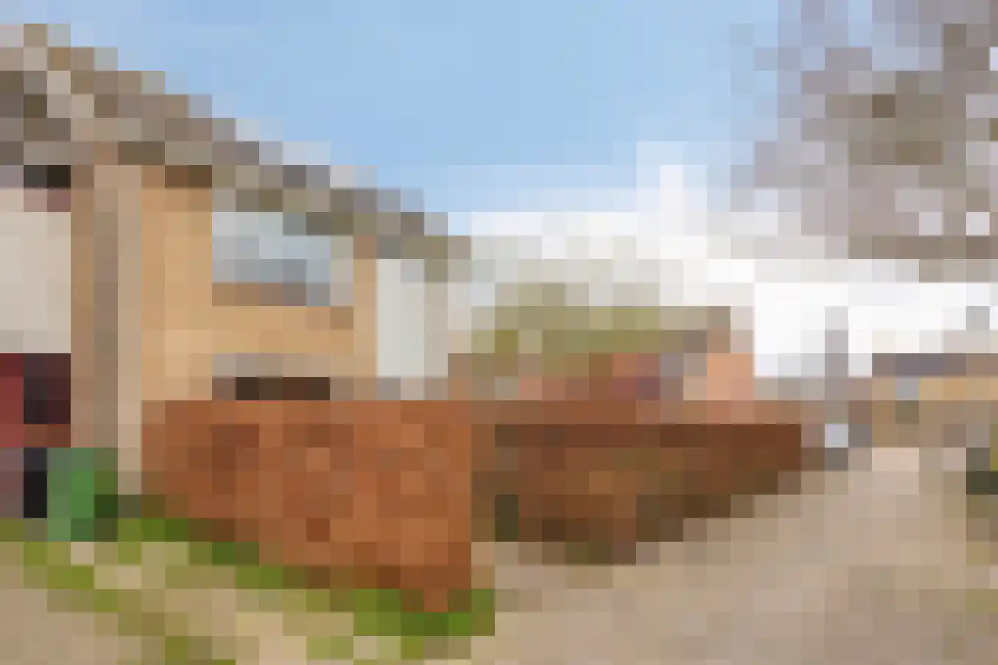 Fresiahof 4 Nibbixwoud thumbnail 5