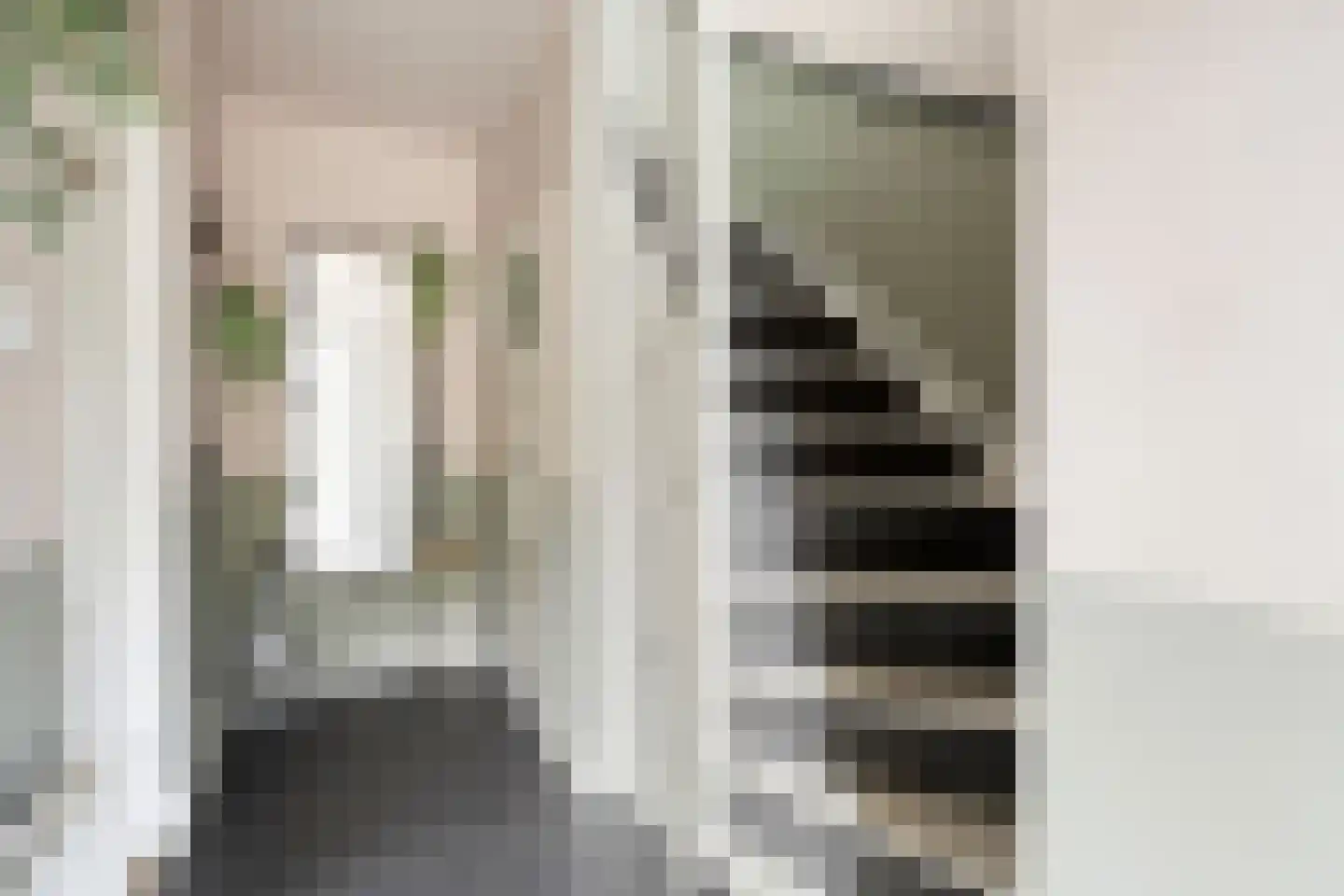 Fresiahof 4 Nibbixwoud thumbnail 6
