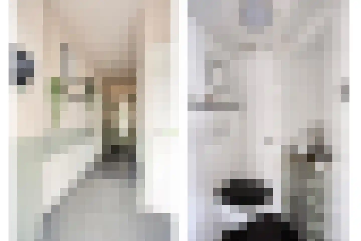Fresiahof 4 Nibbixwoud thumbnail 7