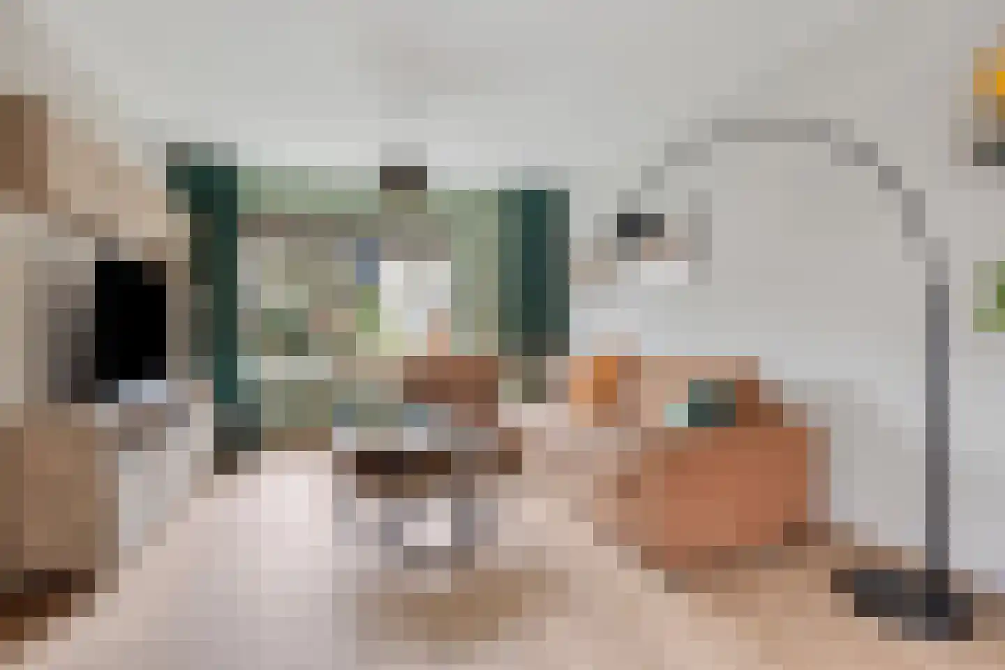 Fresiahof 4 Nibbixwoud thumbnail 8