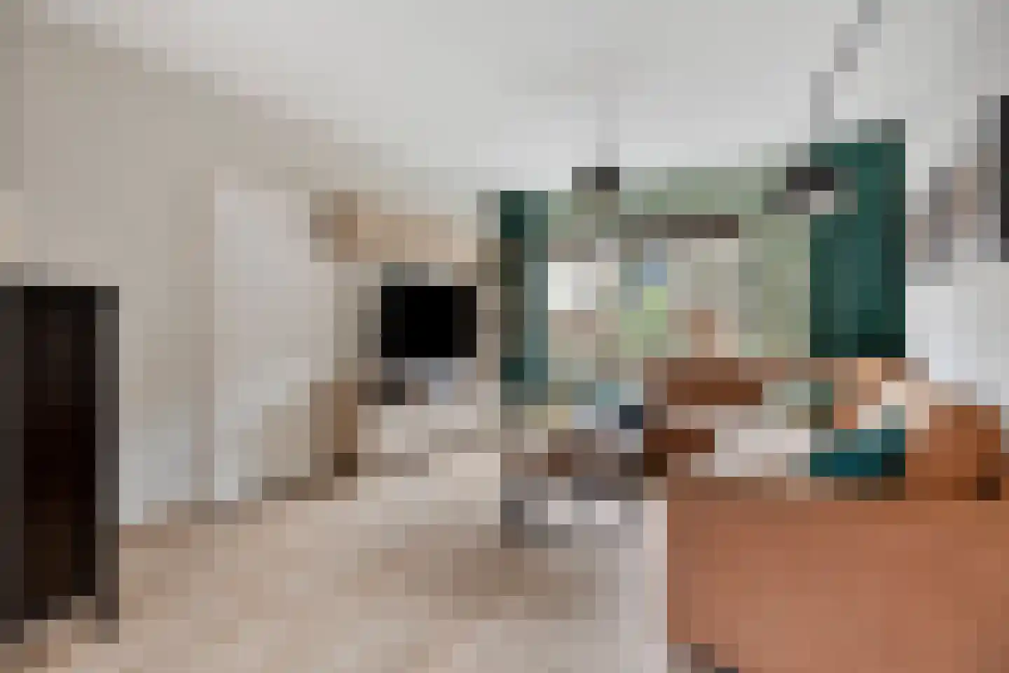Fresiahof 4 Nibbixwoud thumbnail 9