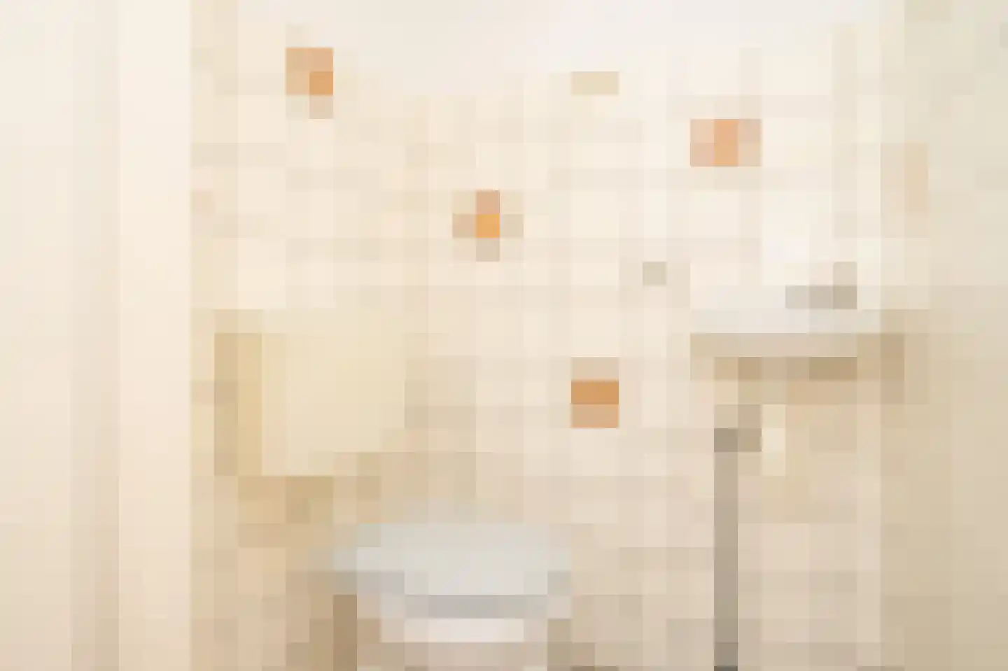 Fresiahof 8 Nibbixwoud thumbnail 12