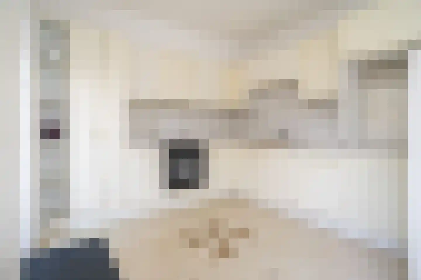 Fresiahof 8 Nibbixwoud thumbnail 13