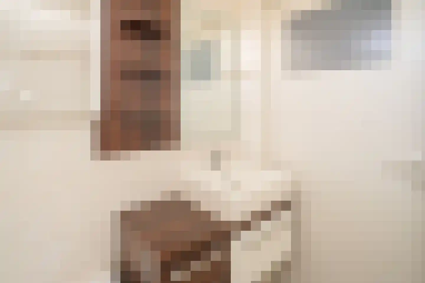 Fresiahof 8 Nibbixwoud thumbnail 22