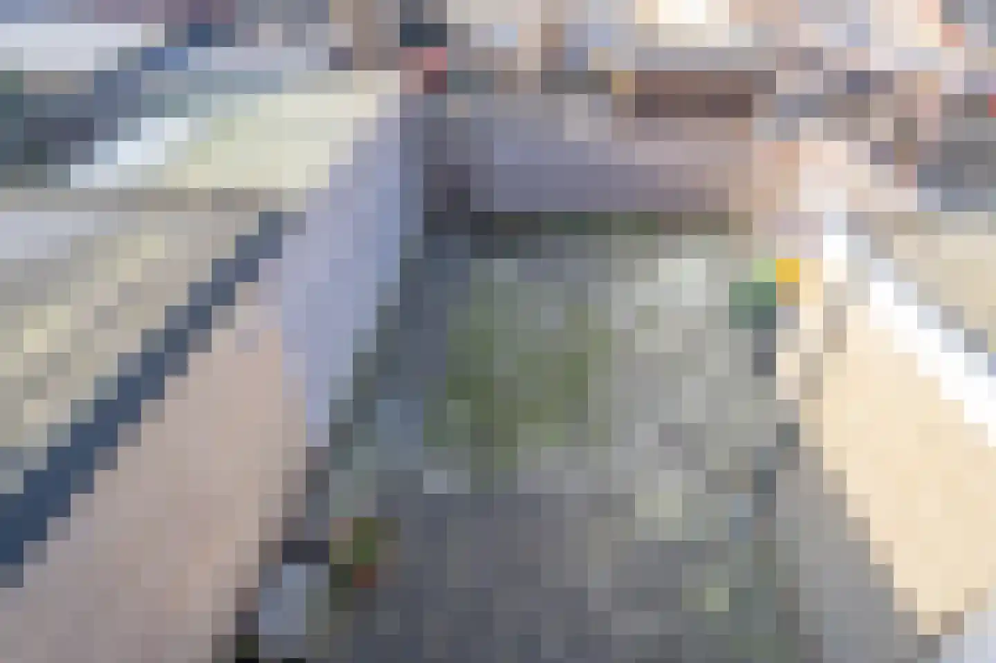 Fresiahof 8 Nibbixwoud thumbnail 34