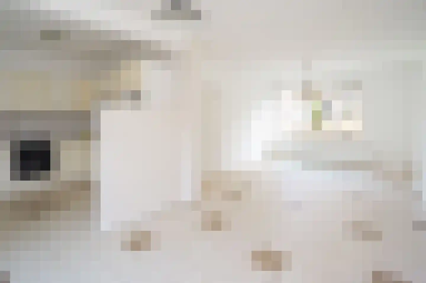 Fresiahof 8 Nibbixwoud thumbnail 5