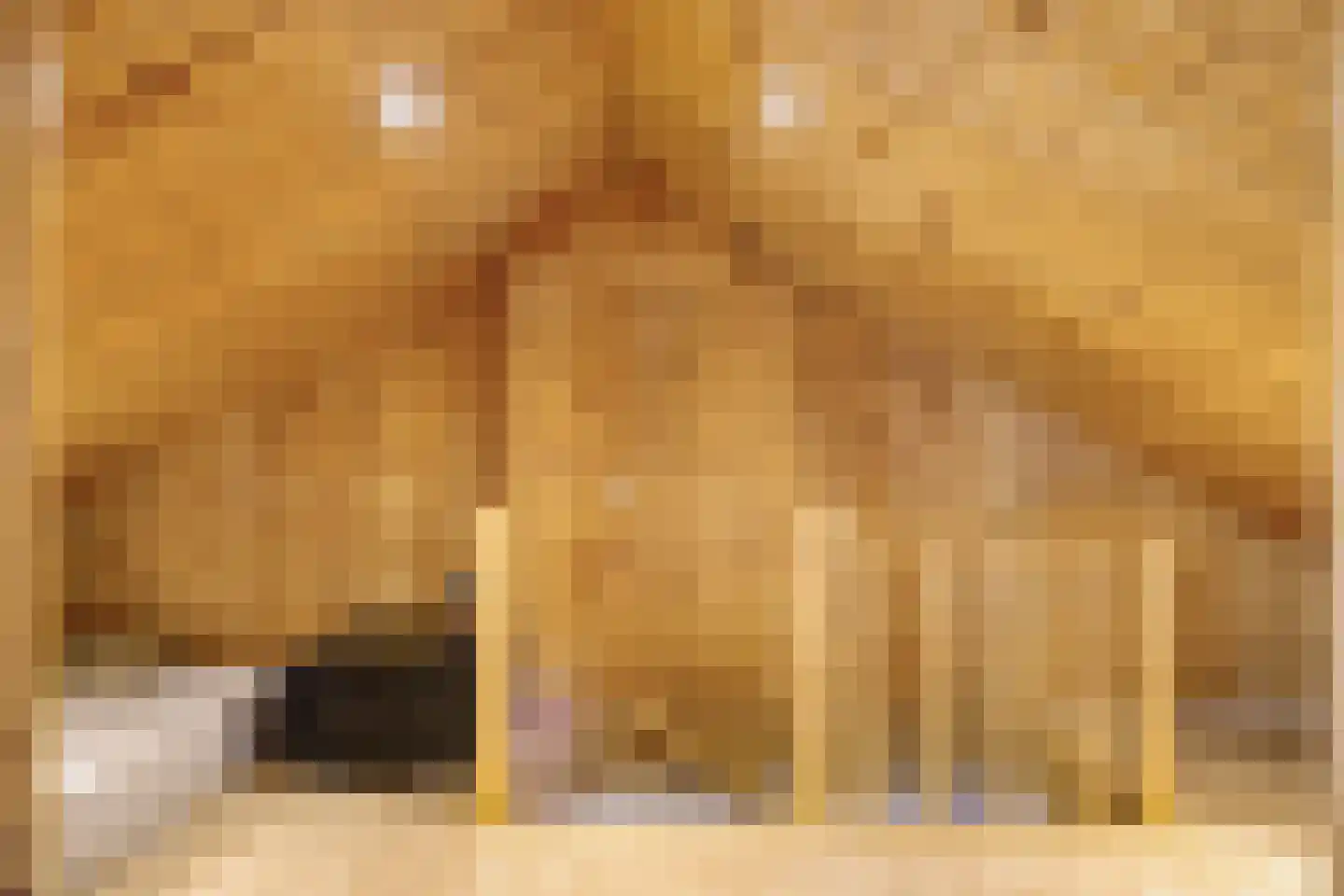 Fresiahof 8 Schijndel thumbnail 24