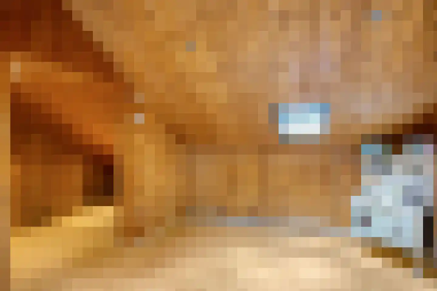 Fresiahof 8 Schijndel thumbnail 26