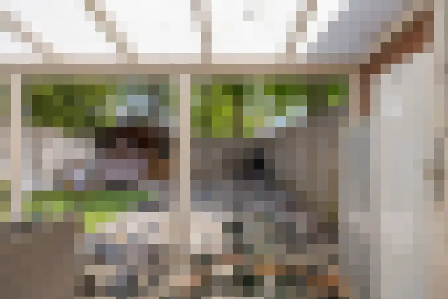 Fresiahof 8 Schijndel thumbnail 28