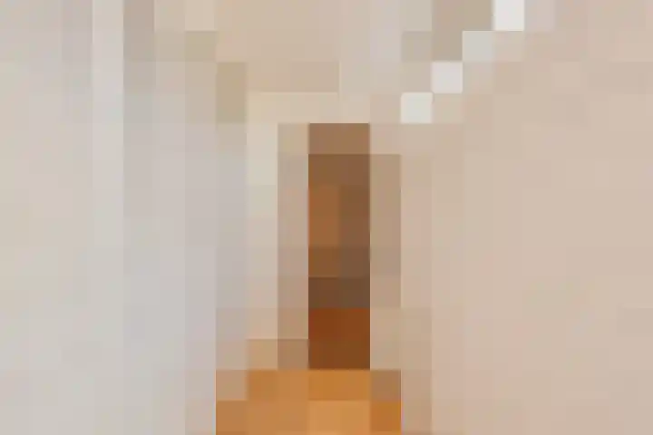Fresialaan 18 Bennebroek thumbnail 11