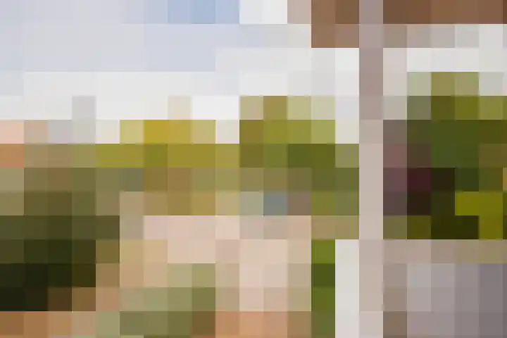Fresialaan 18 Bennebroek thumbnail 18