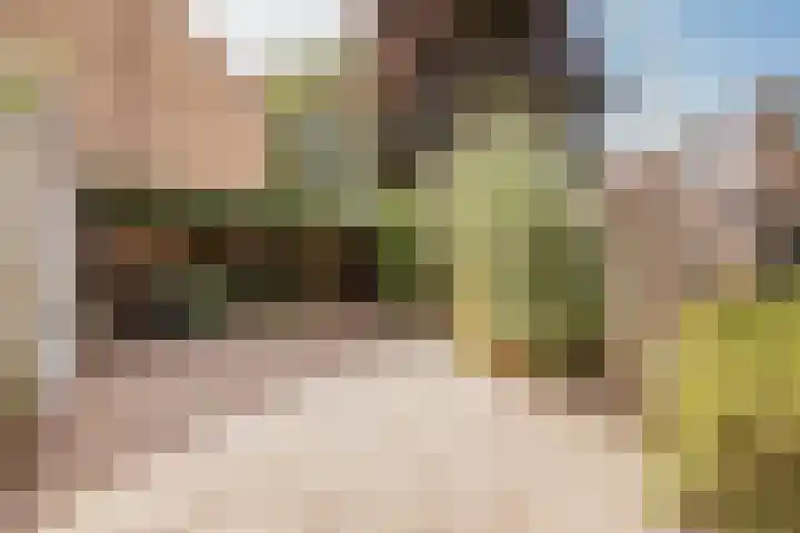 Fresialaan 18 Bennebroek thumbnail 31