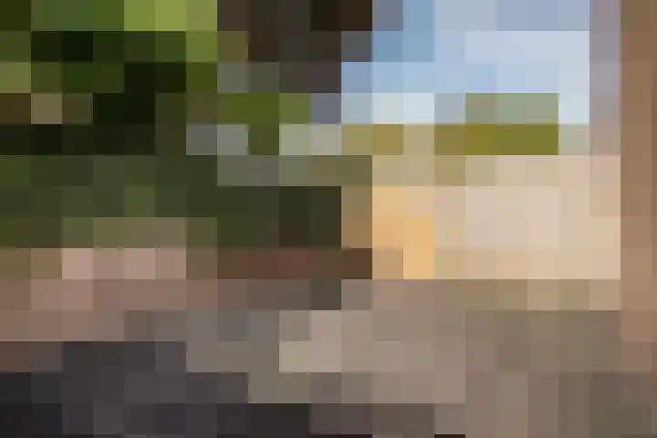 Fresialaan 18 Bennebroek thumbnail 32