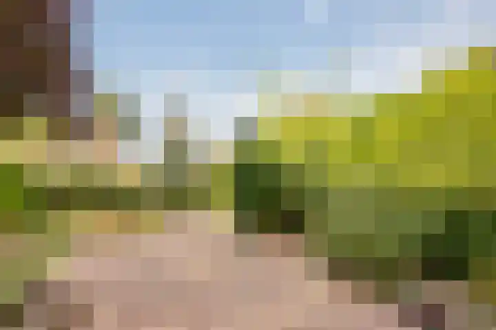 Fresialaan 18 Bennebroek thumbnail 34