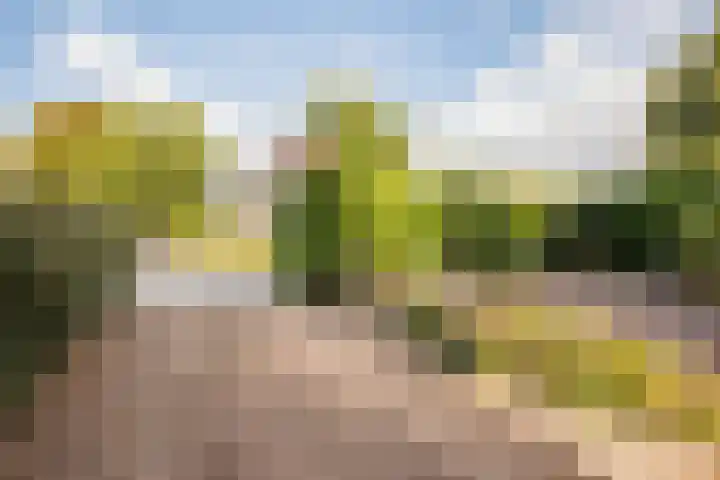Fresialaan 18 Bennebroek thumbnail 35