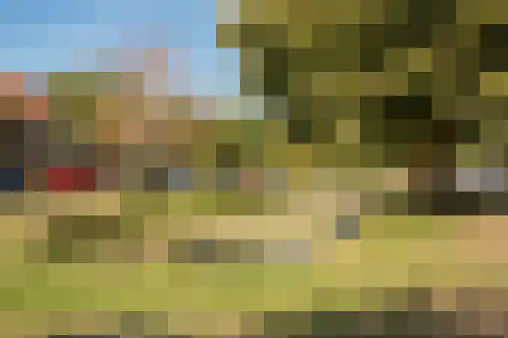 Fresialaan 18 Bennebroek thumbnail 38
