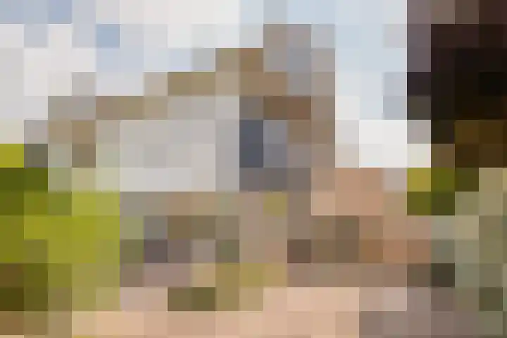 Fresialaan 18 Bennebroek thumbnail 51
