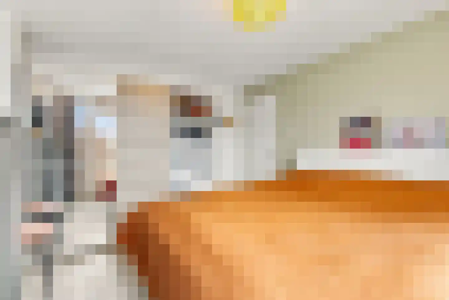 Fresialaan 26 De Kwakel thumbnail 18
