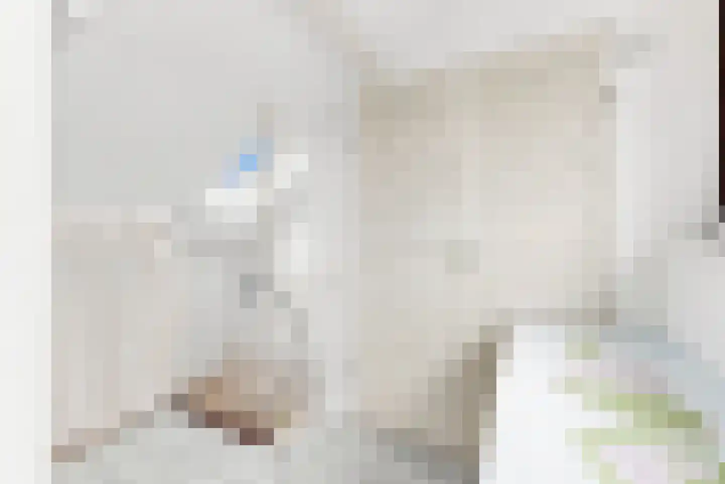 Fresialaan 26 De Kwakel thumbnail 21