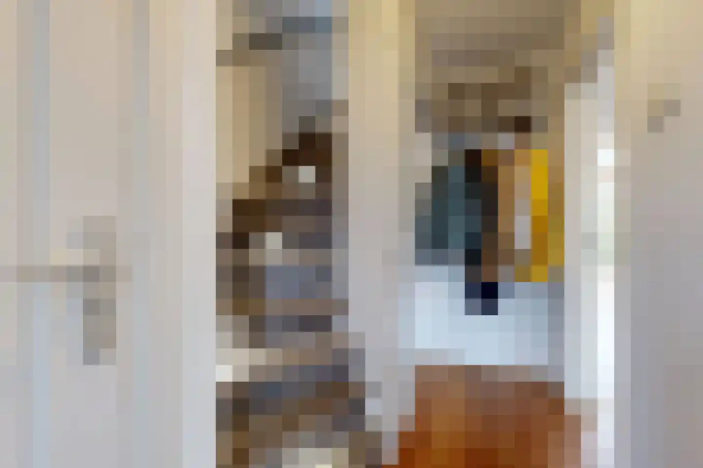 Fresialaan 26 De Kwakel thumbnail 7