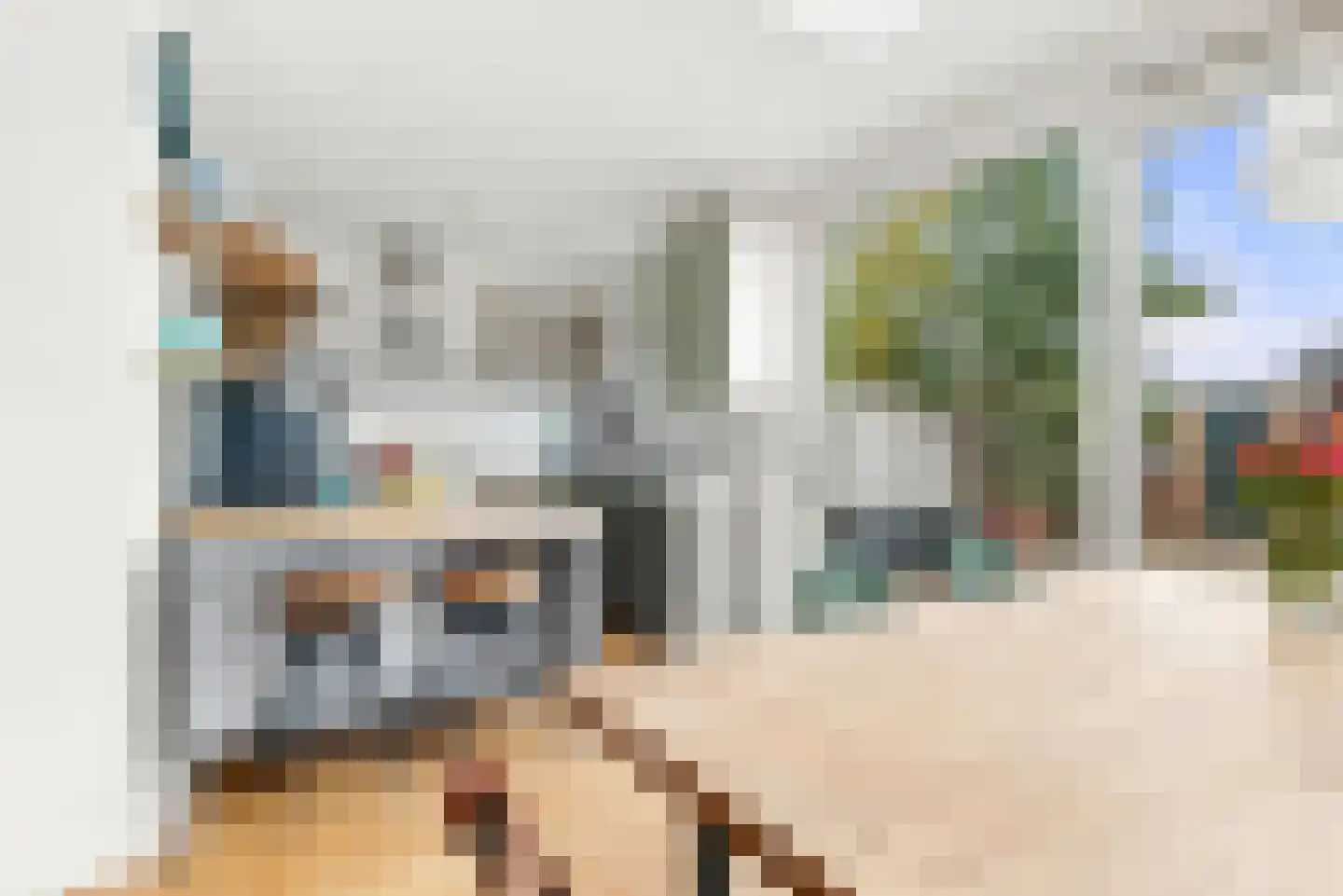 Fresialaan 26 De Kwakel thumbnail 9