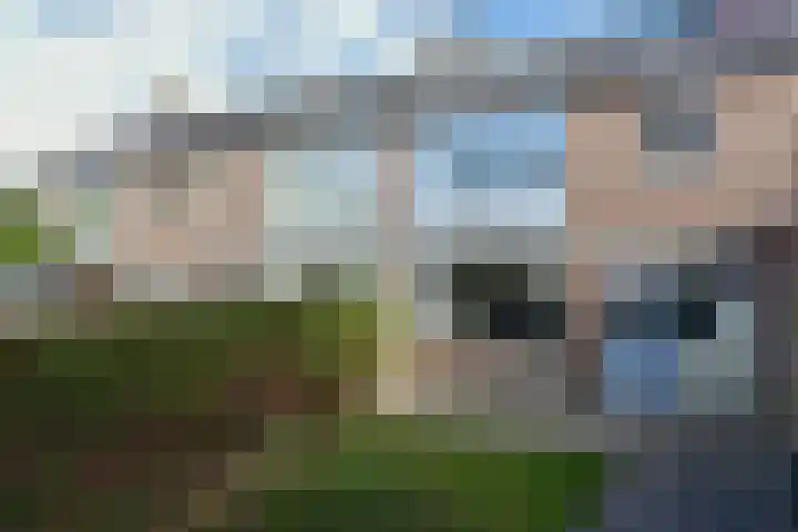 Fresialaan 31 De Kwakel thumbnail 10