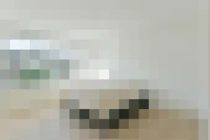 Fresialaan 31 De Kwakel thumbnail 13
